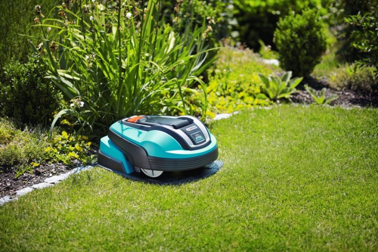 Mit dem Mähroboter zum perfekten Rasen Planungswelten