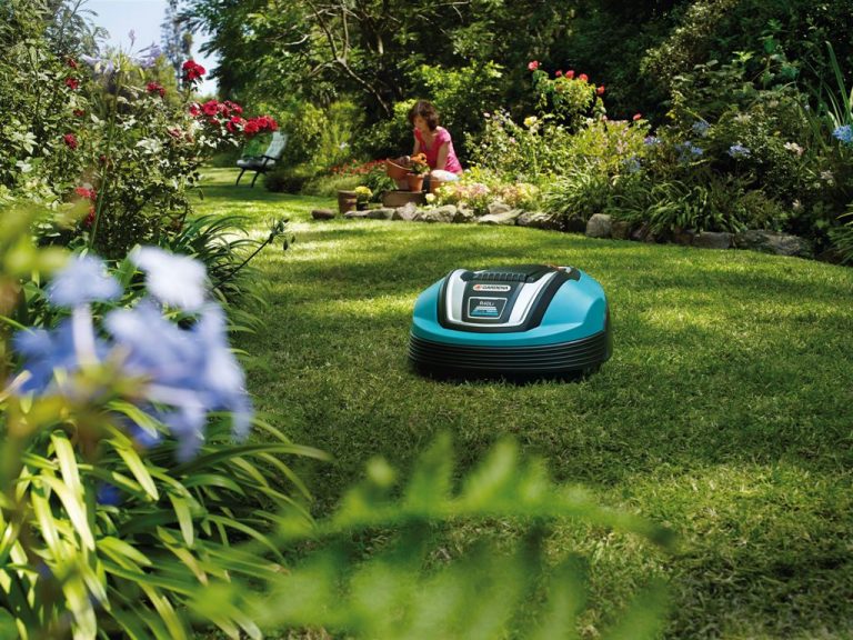 Mit dem Mähroboter zum perfekten Rasen Planungswelten