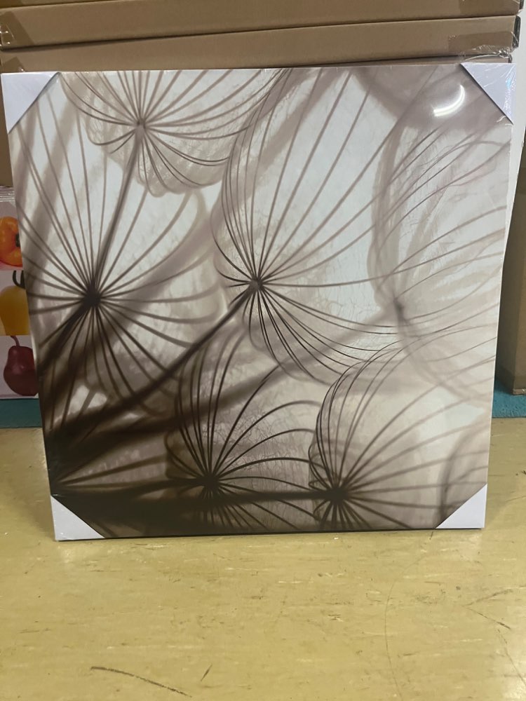 LED Bild Pusteblume / Wandbild statt 29,99€