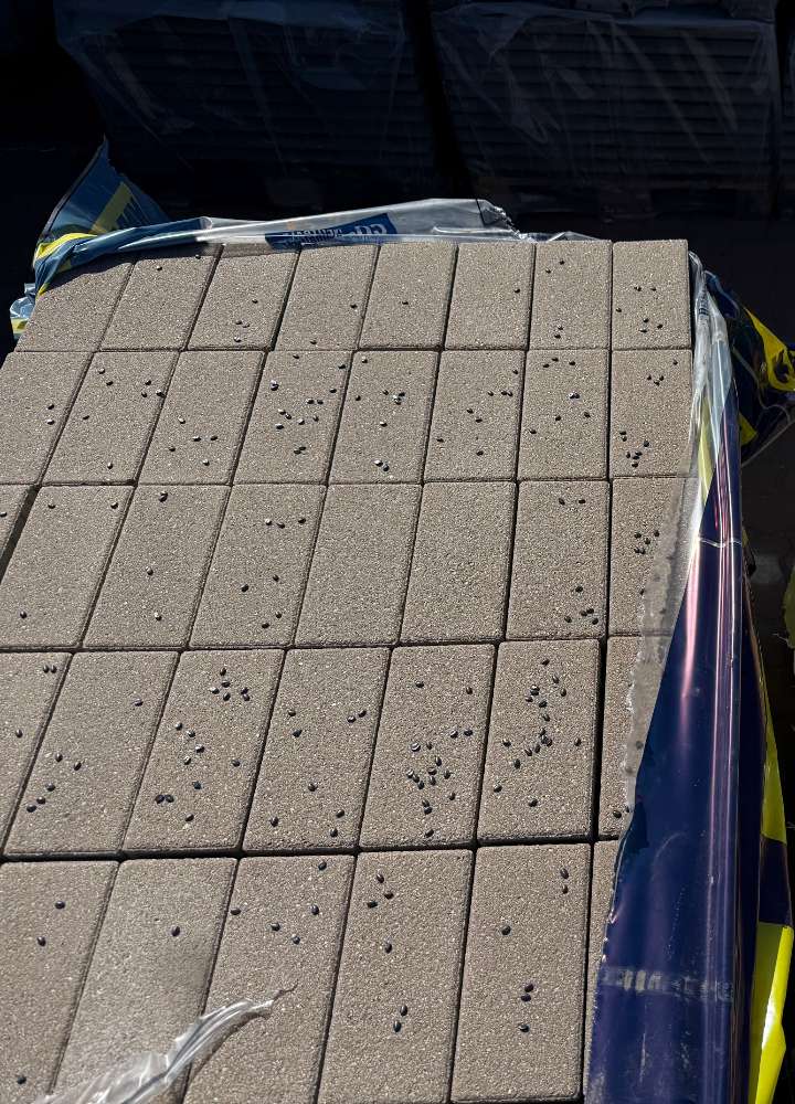 Vios Pflaster 20x10x10 cm grau beige feingestrahlt  (Restposten)