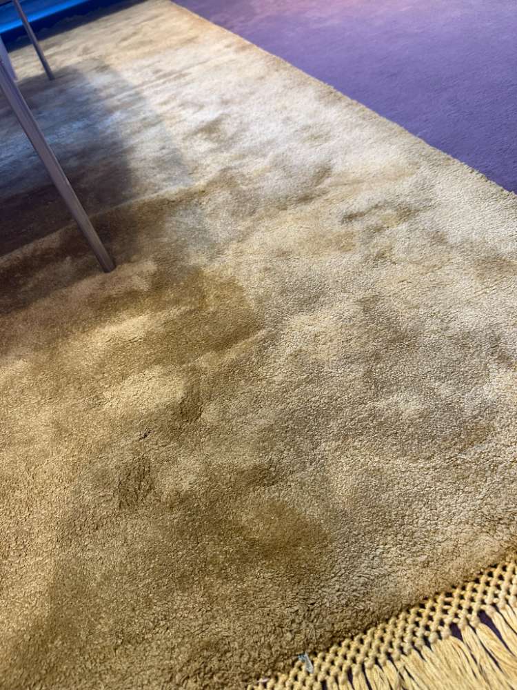 Teppich Viscose Solid Gold