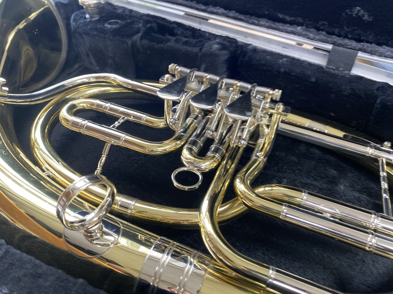 Tenorhorn Cerveny