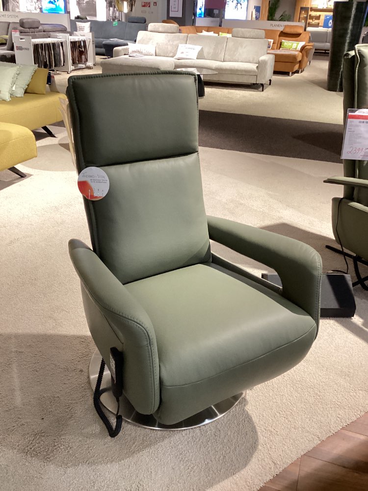 TV-SESSEL / Lederbezug farn