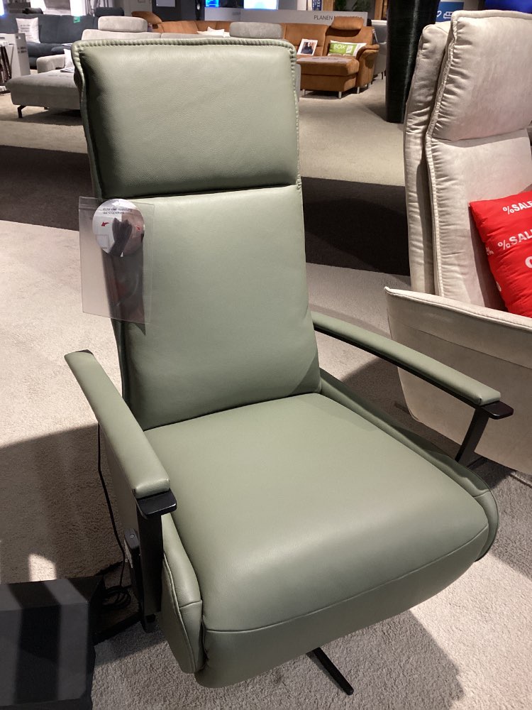 TV-SESSEL / Lederbezug farn