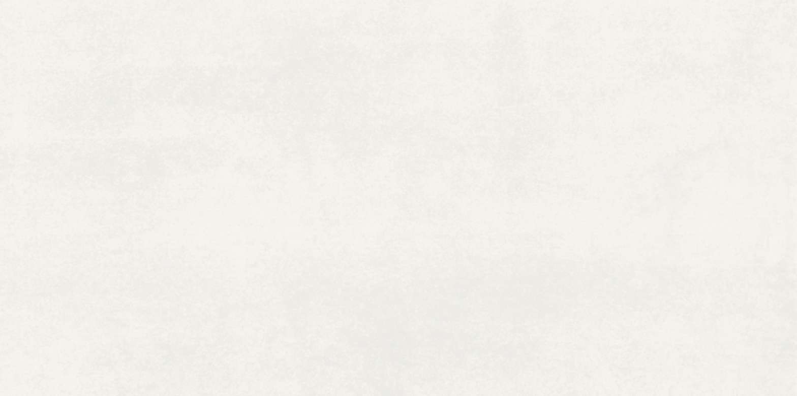 Steuler SPEED Wandfliesen 30×60 cm beige