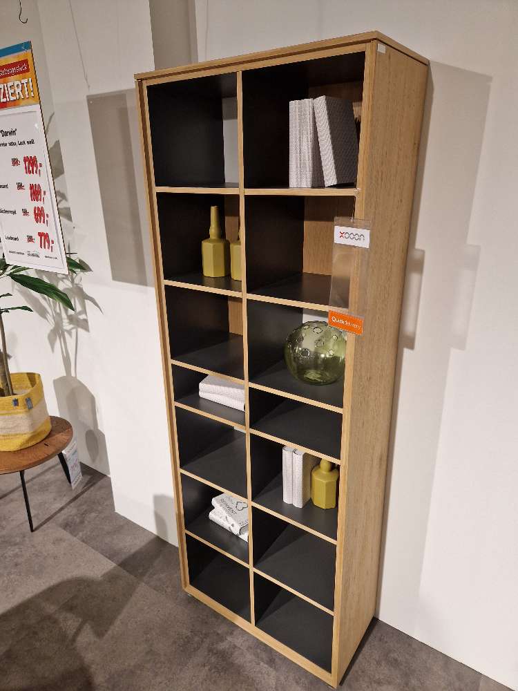 Bücherregal Darwin 39750Bna