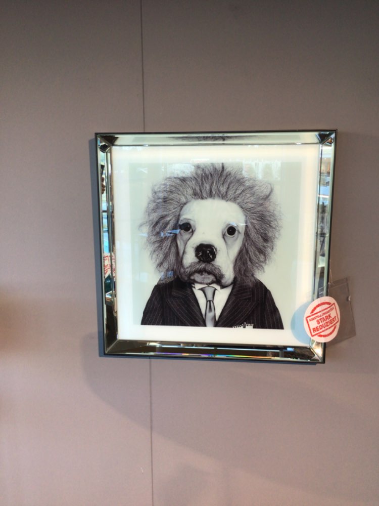 Bild Frame Mirror Smart Dog