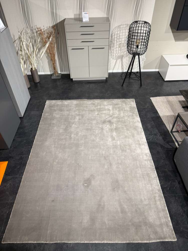 Teppich  Simplicity  / 170 x 240cm