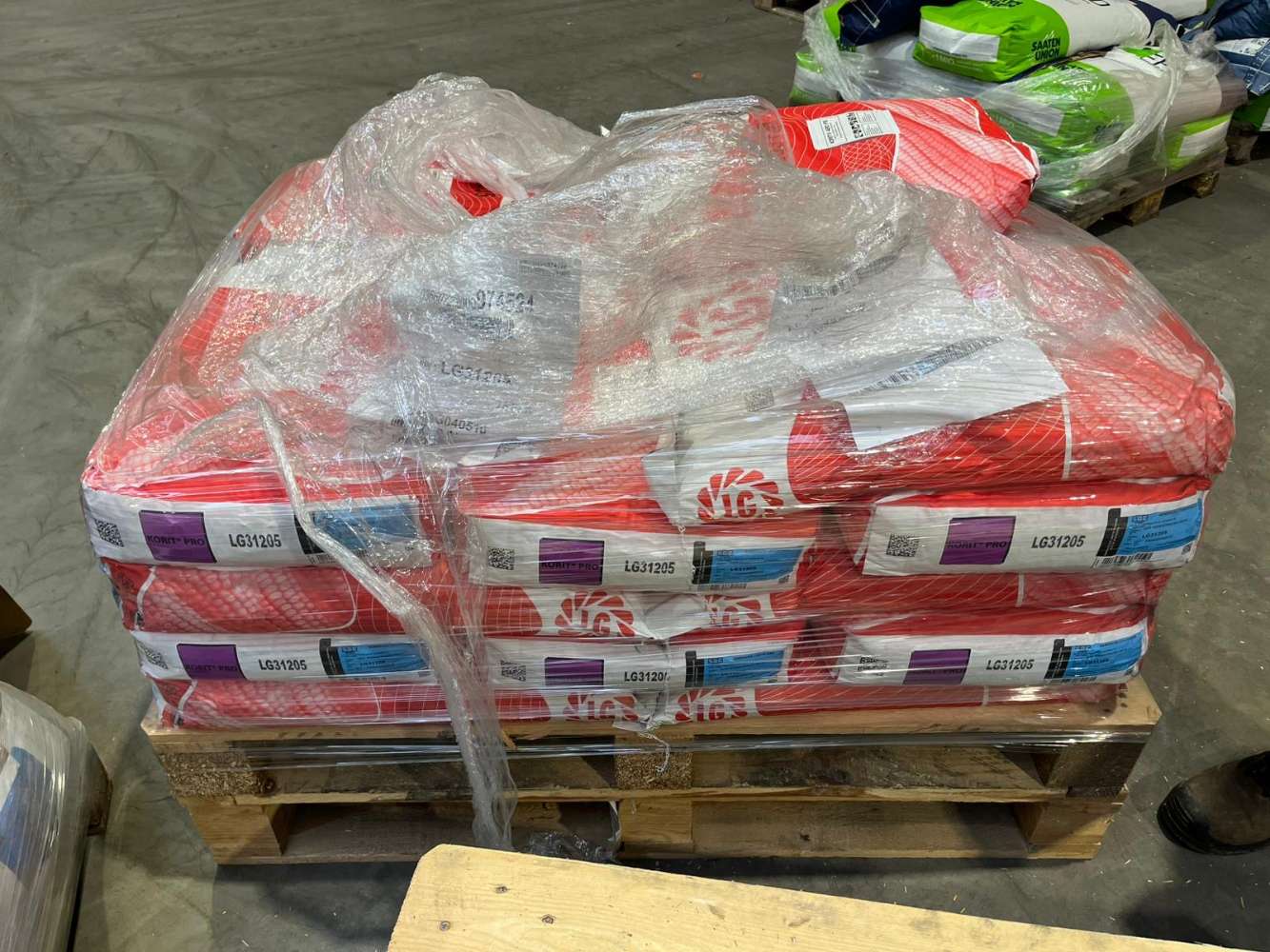 Maissaatgut LG 30.258