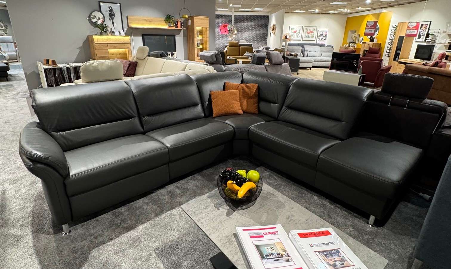 Ledergarnitur Modulmaster PN1148