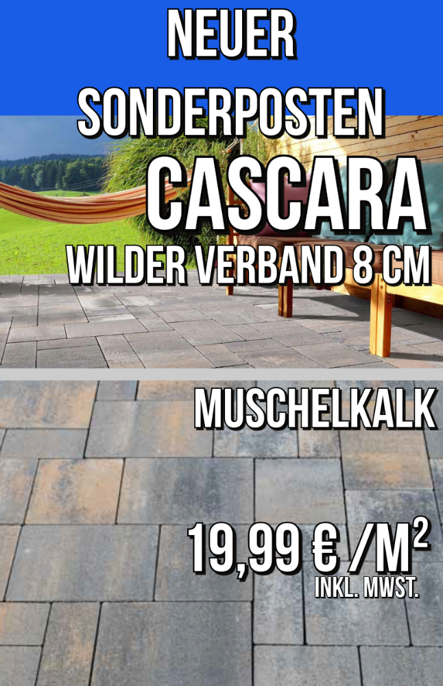 Cascara Wilder Verband muschelkalk 8 cm (Restposten)