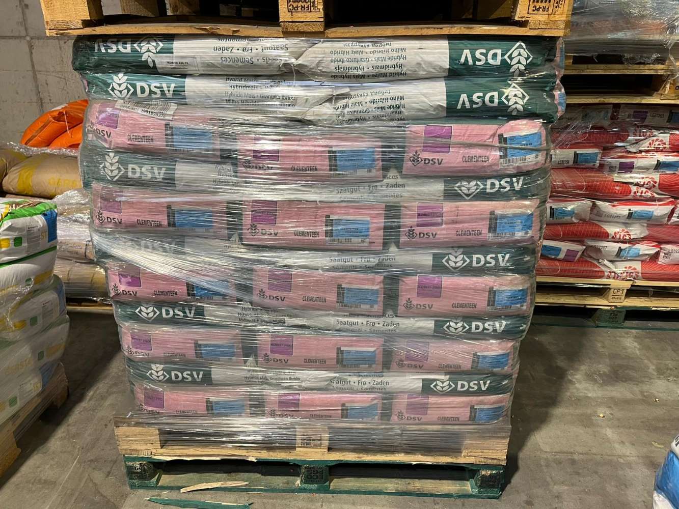 Maissaatgut DSV Clementeen Korit-Beize