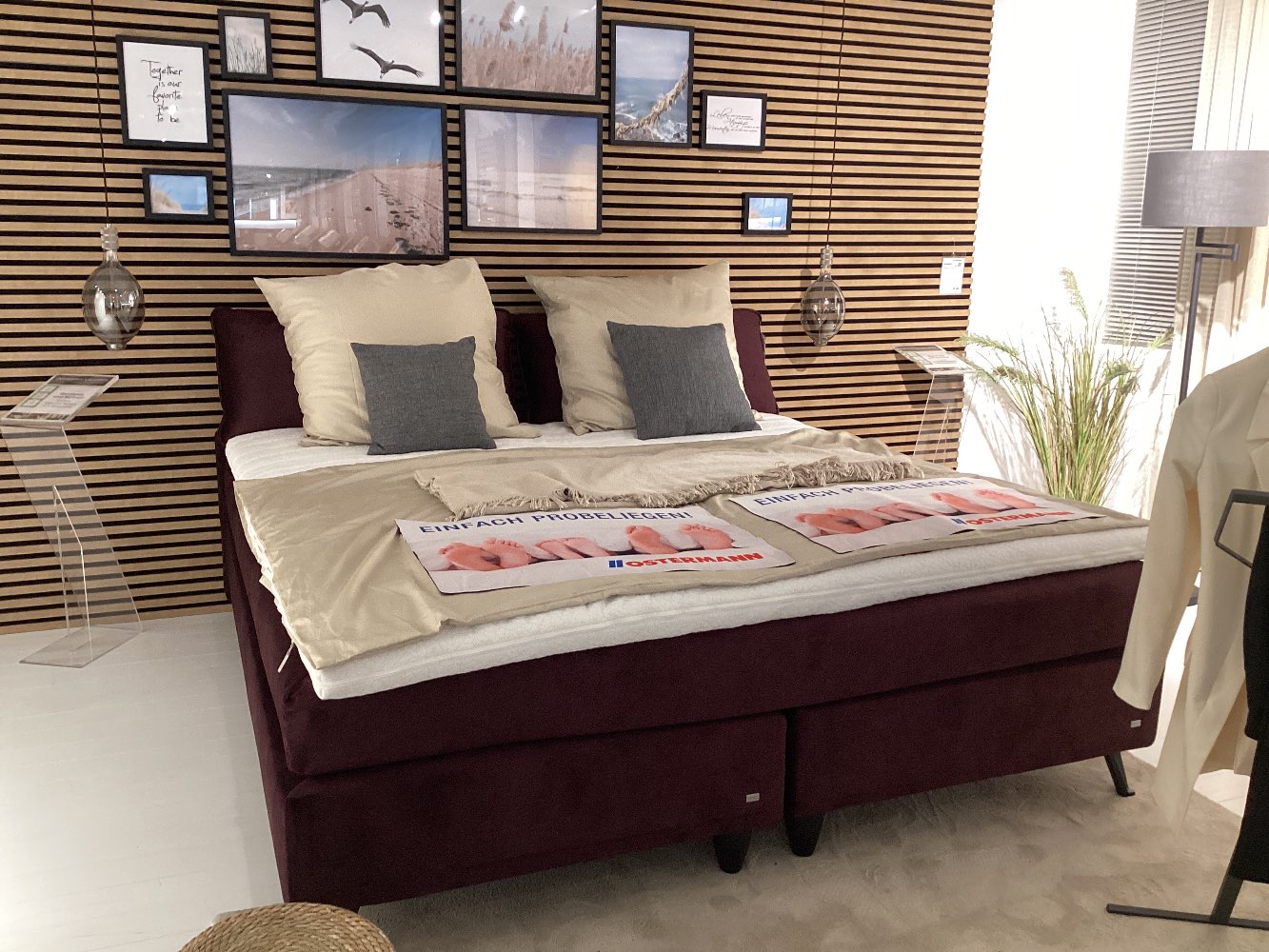 Boxspringbett RUF Cushido