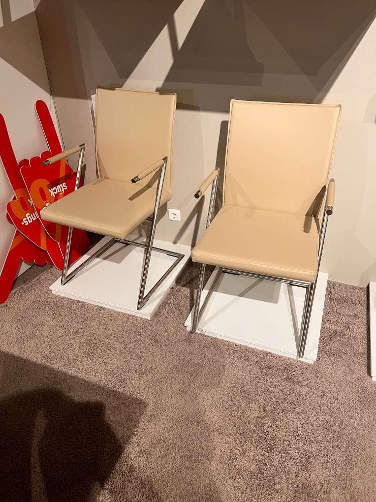 Stuhlgruppe Freischwinger