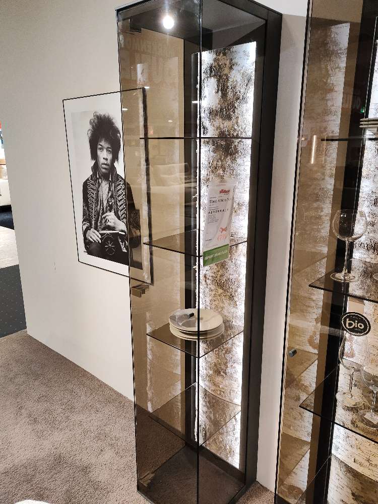 Stand-Vitrine links ALVA 0041