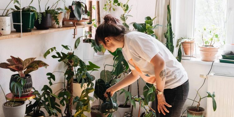 Frau pflegt ihre Zimmerpflanzen