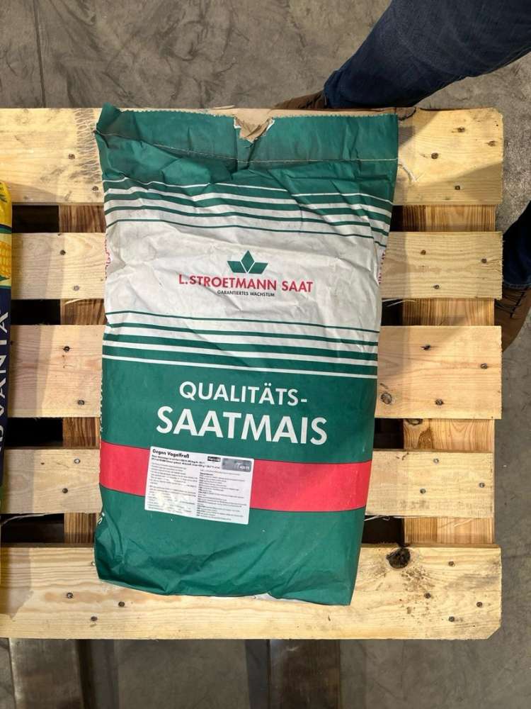 Maissaatgut Stroetmann Mosikus mit Korit-Beize
