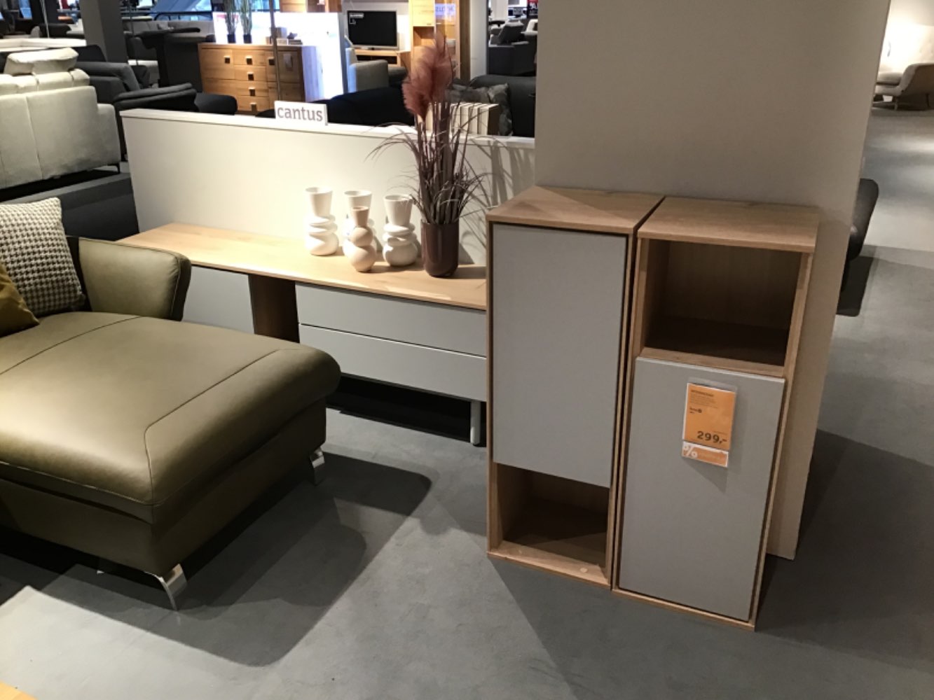 XXXLutz Ausstellungsstück Möbel Wohnwand Ema Eiche grau