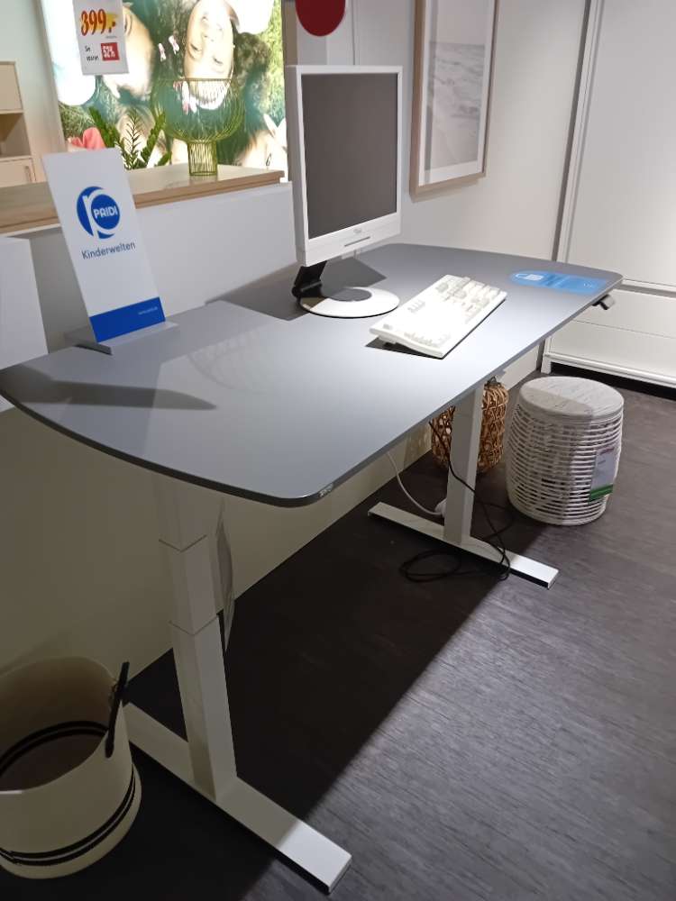 Schreibtisch E-Lion