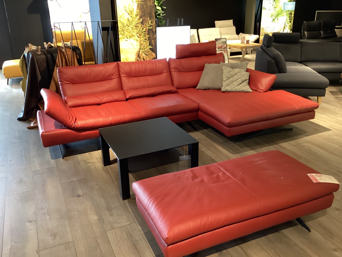 Möbel Ecksofa Willi Schillig Seventys Echtes Leder XXXLutz Hirsch