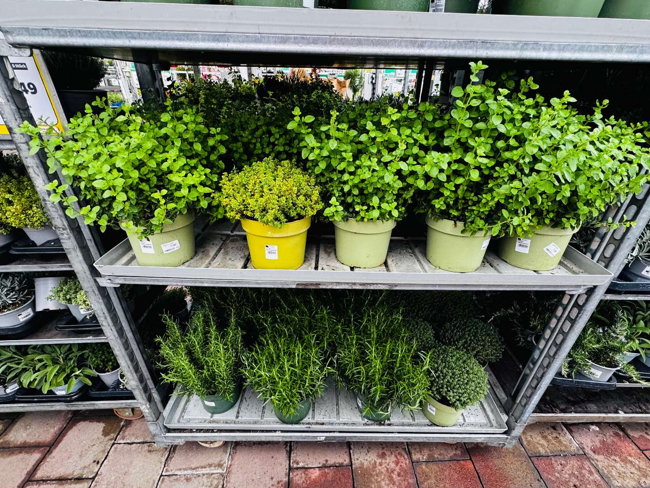 Italienische Kräuter