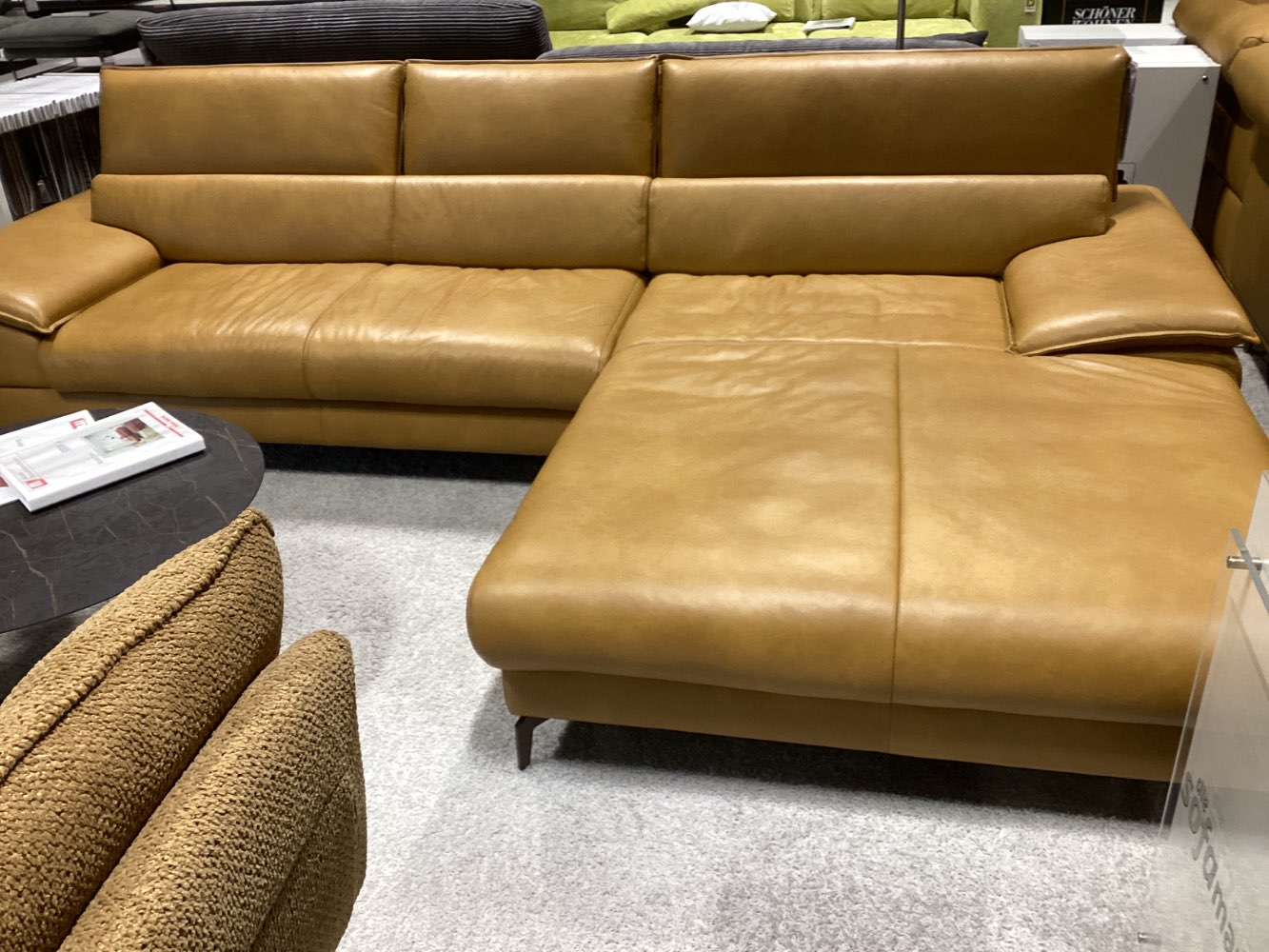 Mondo Hoya+Hocker