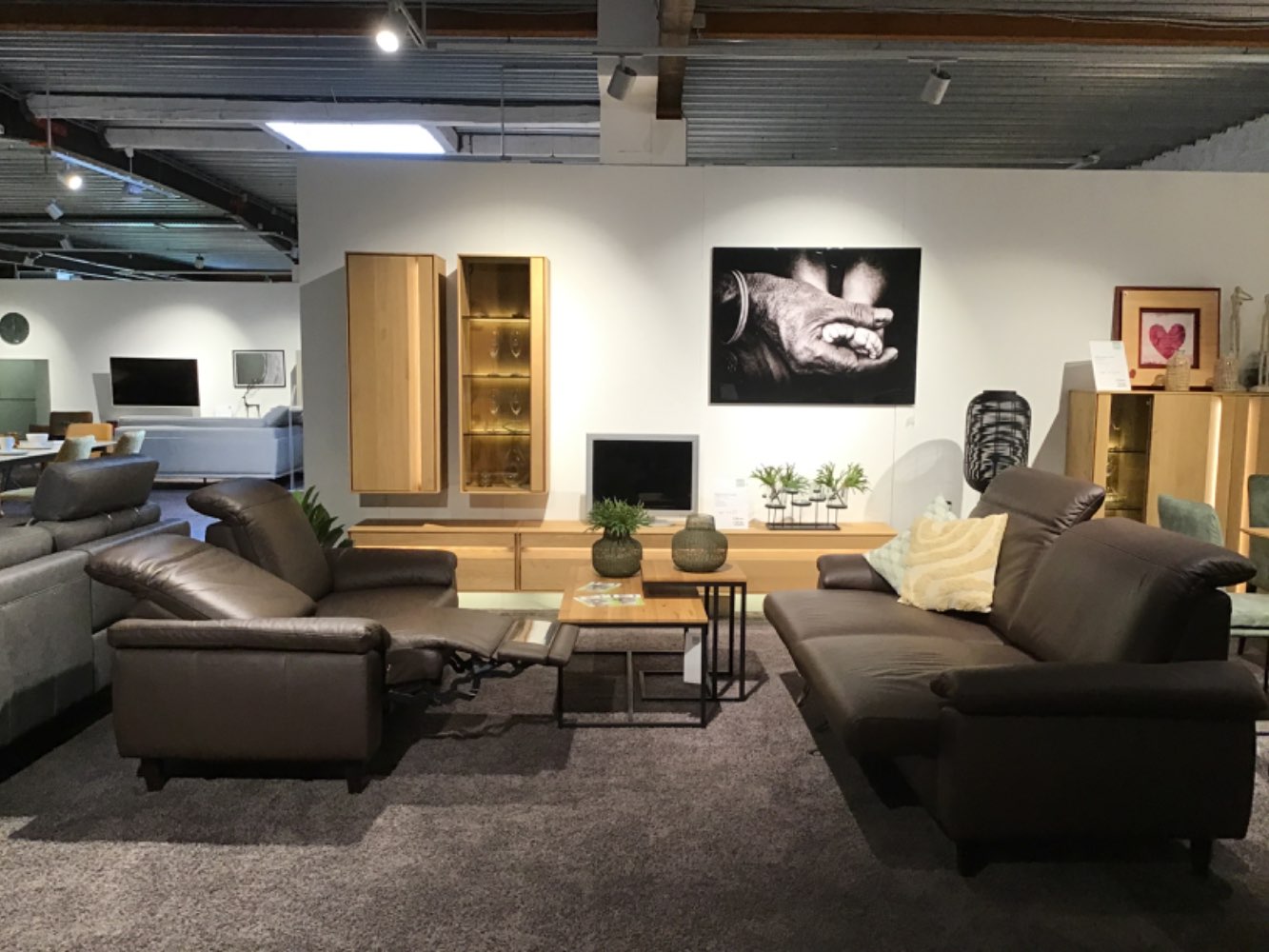 Mustergruppe Leder braun mit Funktion