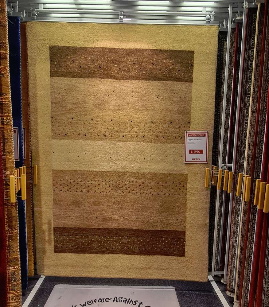 Teppich aus Indien ca.170x240cm⚡️Sparpreis⚡️