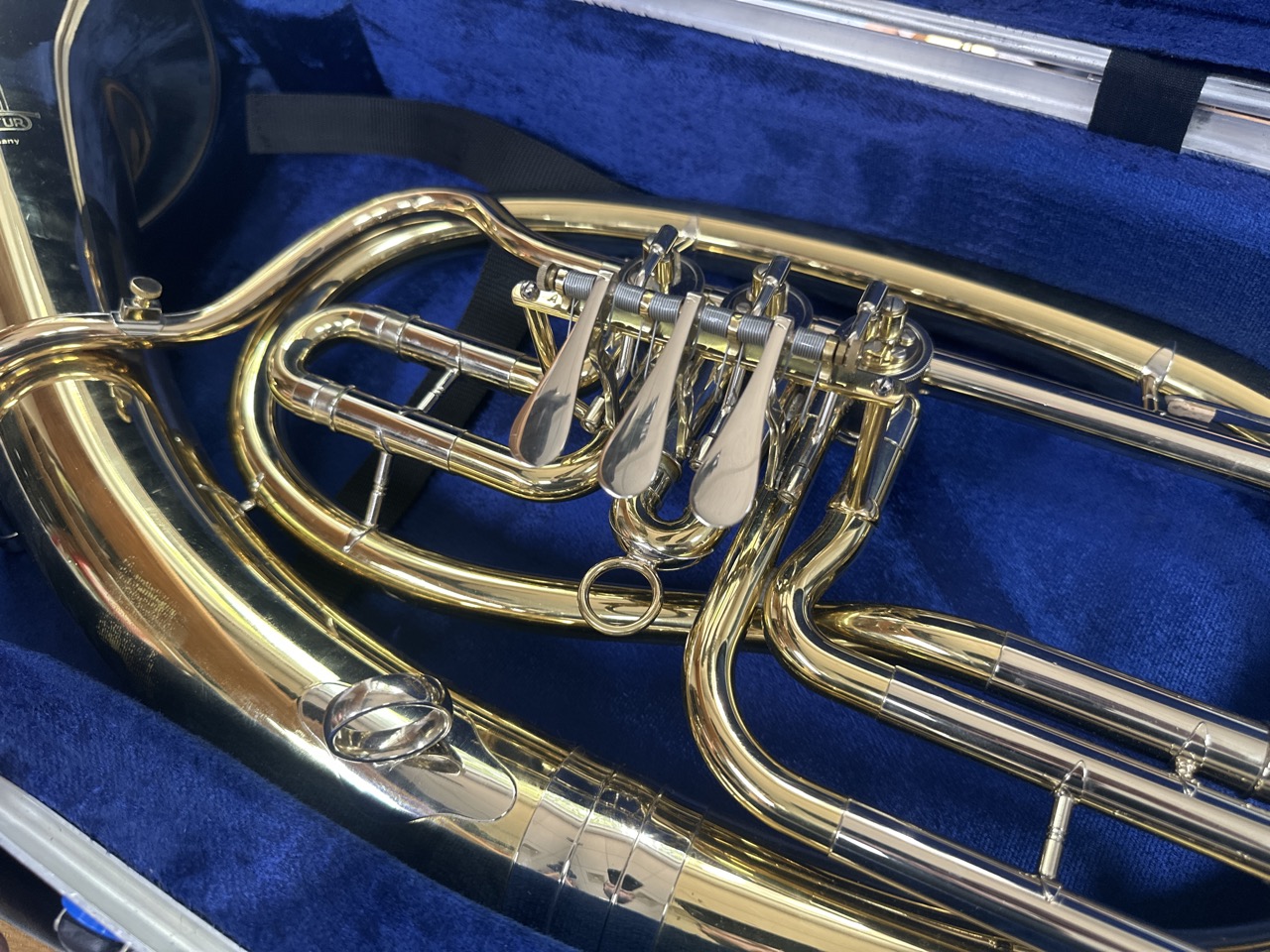 Tenorhorn VMI