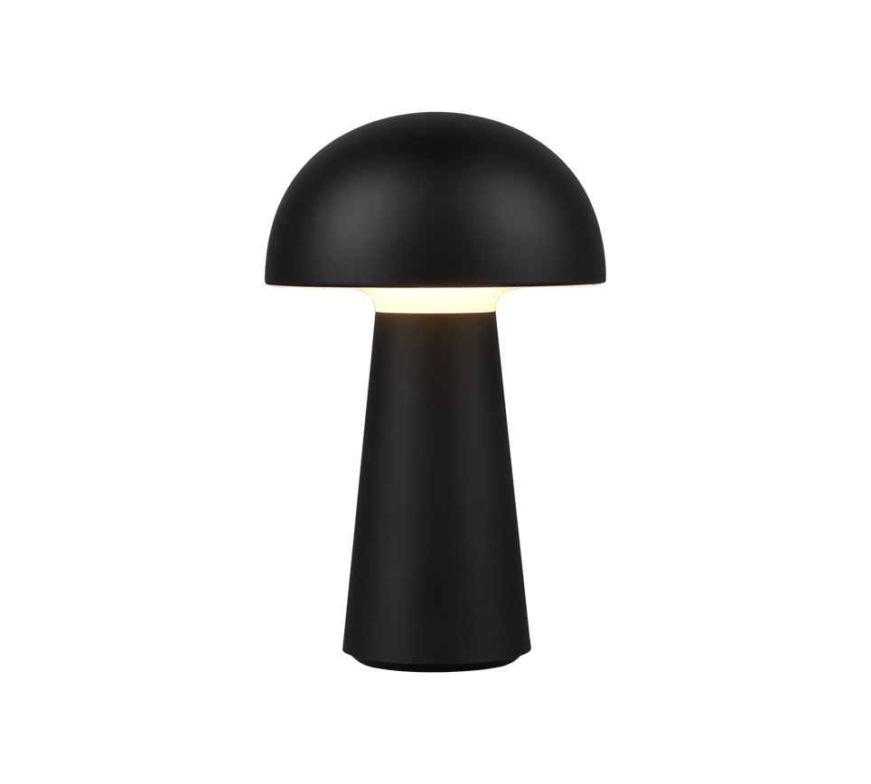AKKU Tischlampe Lennon 1flg⚡️Sparpreis⚡️