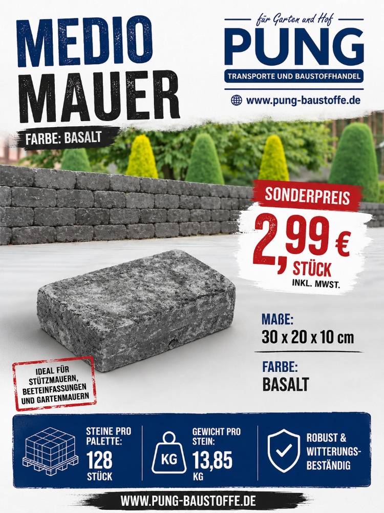 Medio Antikmauer Basalt 30x20x10 cm Basalt (1.Wahl)