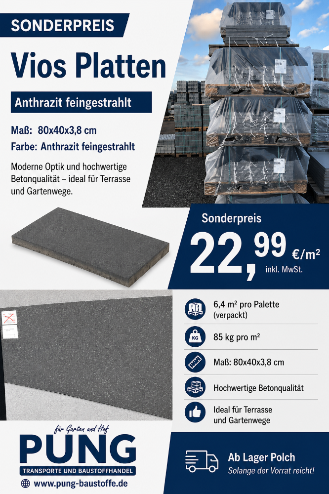 Vios Terrassenplatten 80x40x3,8 cm anthrazit feingestrahlt (2.Wahl)