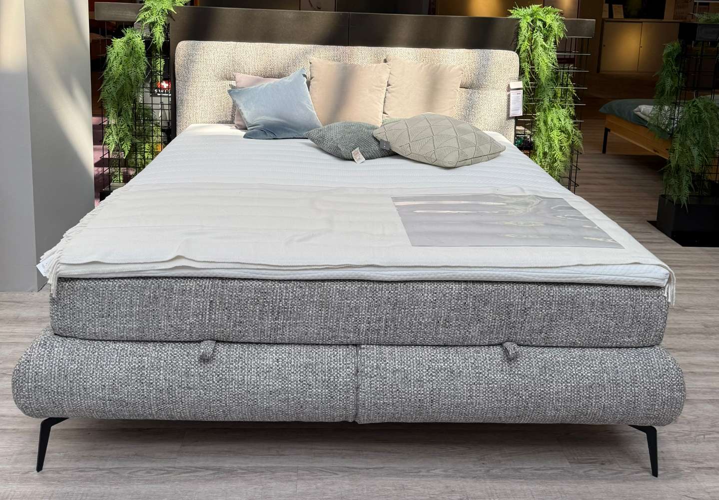 Boxbett 180×200 grau⚡️Sparpreis⚡️