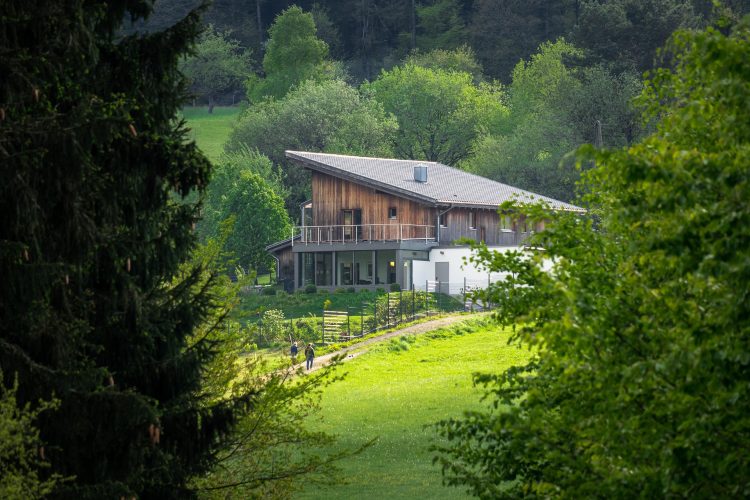 Ein Neubau, auf einem Grundstück, im Wald