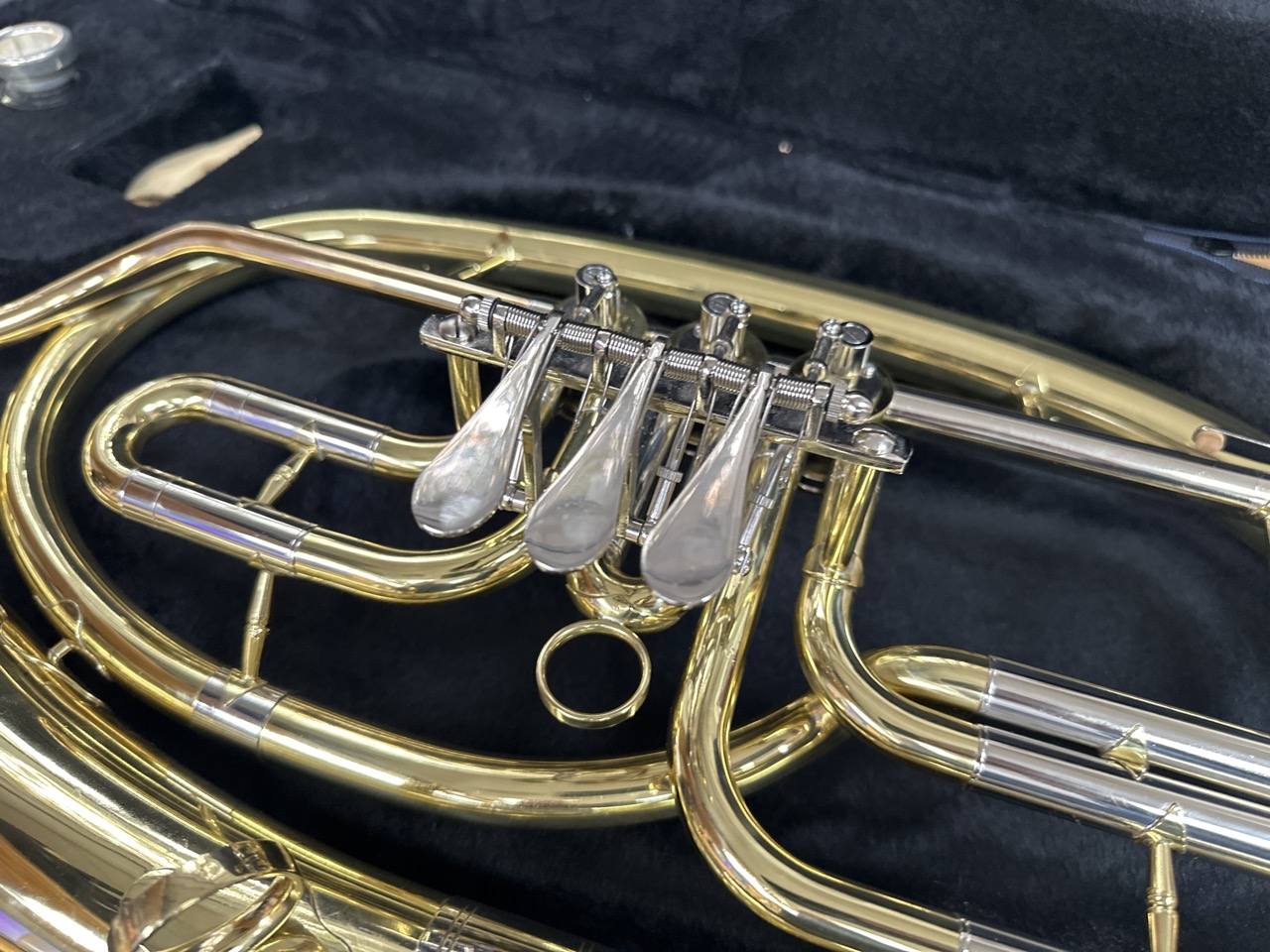 Tenorhorn A&S